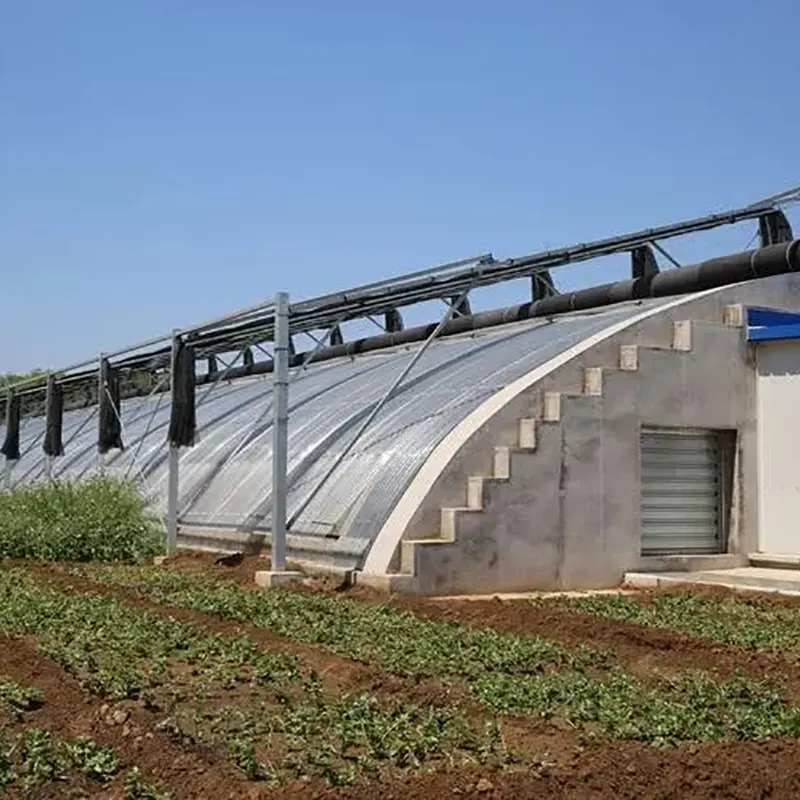 Gelaste stalen truss zonnekas met enkele helling Gelaste stalen truss zonnekas met enkele helling