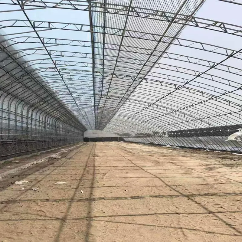 Geprefabriceerde zonnekas met dubbel stalen frame Geprefabriceerde zonnekas met dubbel stalen frame