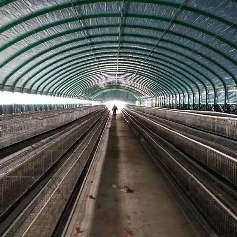 Grootschalige veehouderijstal