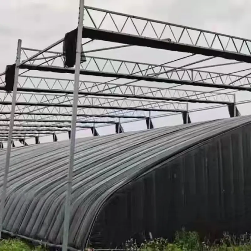 Gelaste stalen truss zonnekas met enkele helling