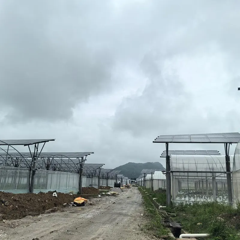 Meerspankas met fotovoltaïsch dak
