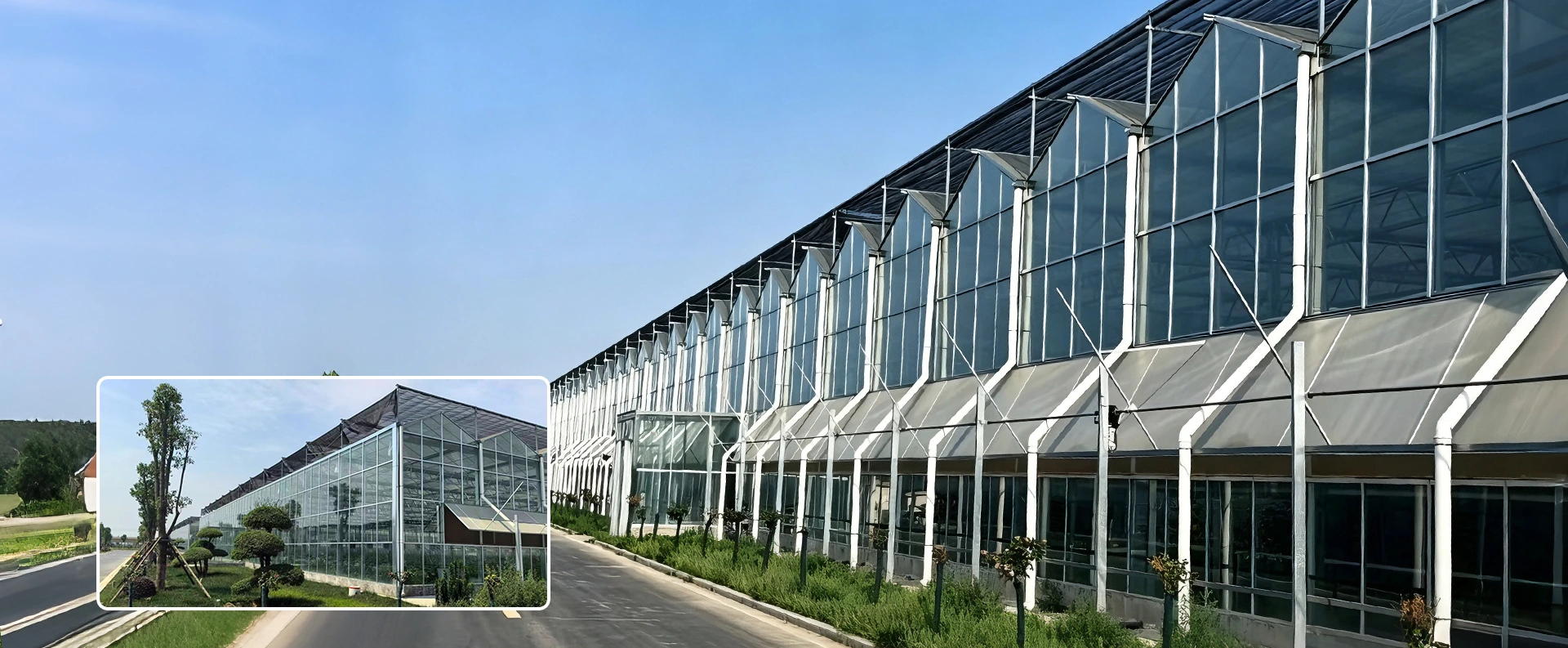 China Multi-Span kassenfabriek