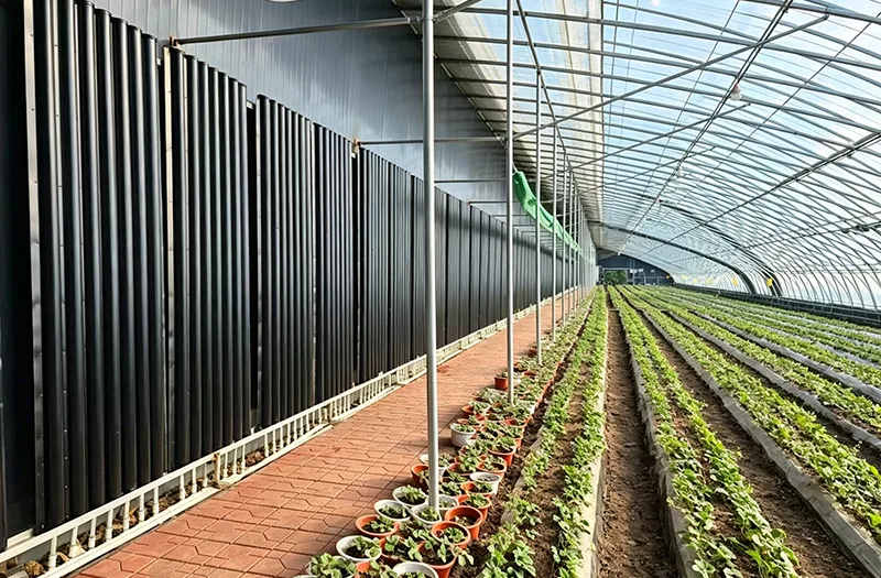 Hoe kunnen boeren de juiste zonnekassen kiezen voor een efficiënte gewasproductie het hele jaar door?