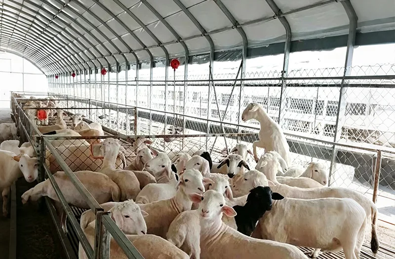 Waar moet rekening mee worden gehouden bij het selecteren van veekassen voor landbouwprojecten?