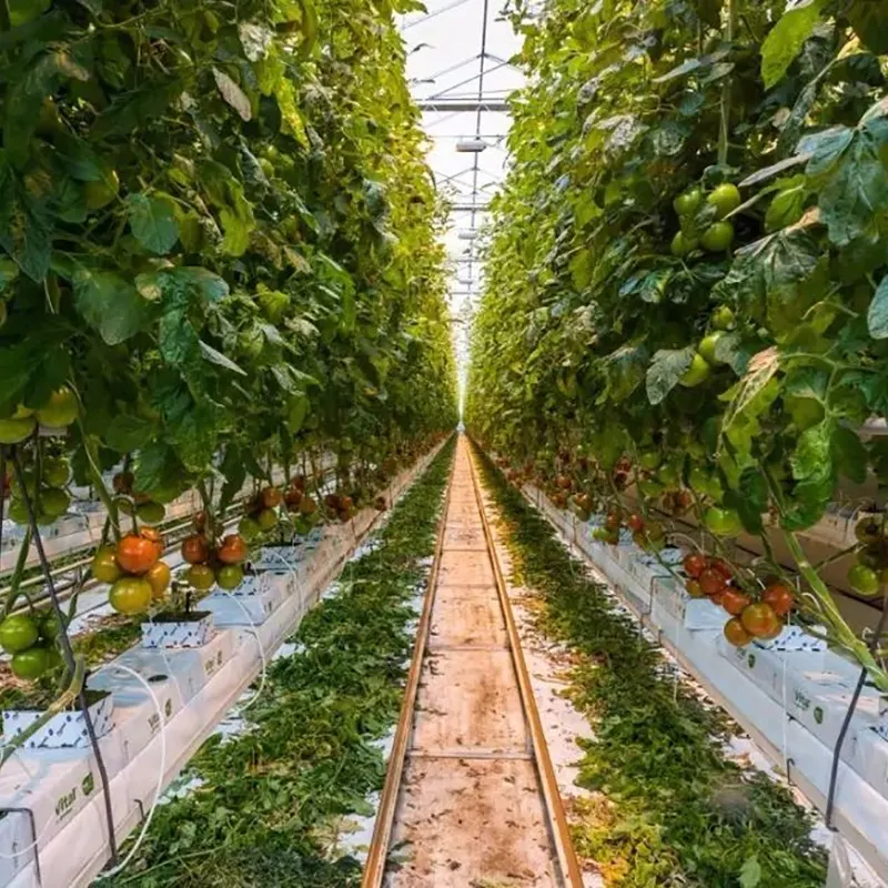 Semi-helling warmteopslag zonne-energiekas