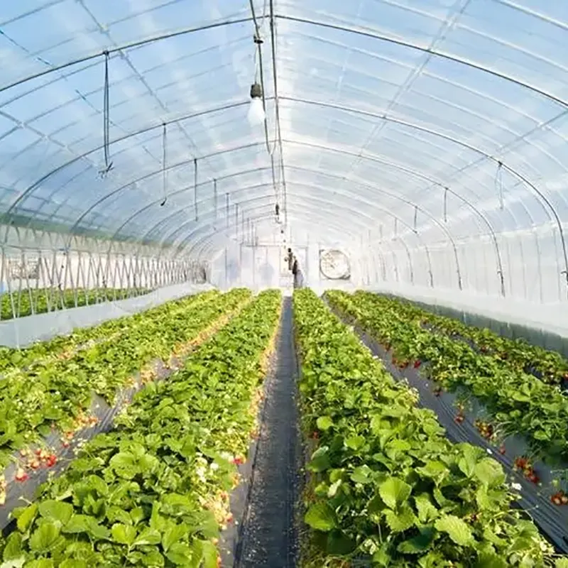 Dubbel stalen frame met ronde boog op zonne-energie