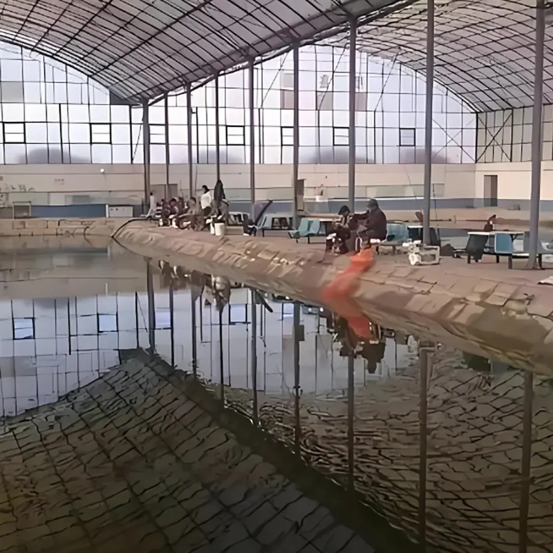 Fishing and Leisure Shed