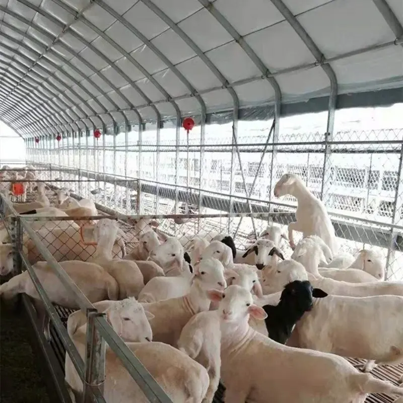 Fokstal voor vee en pluimvee