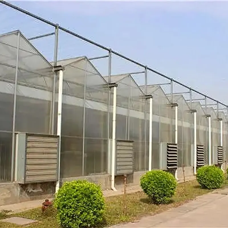 Multi-Span dubbellaags hol glas groen huis