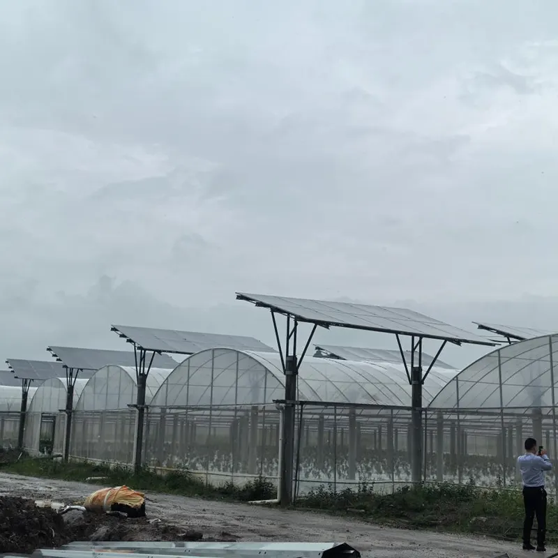 Meerspankas met fotovoltaïsch dak