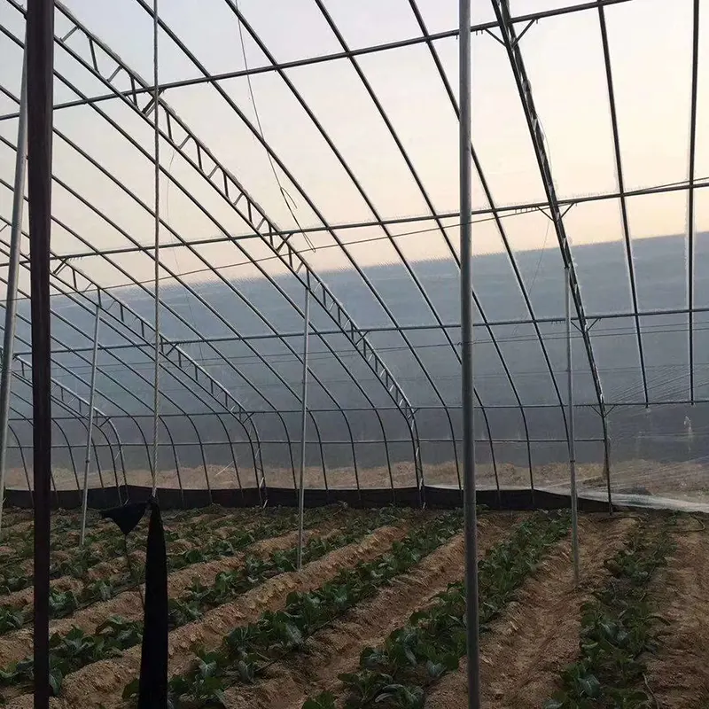 Geprefabriceerde, volledig stalen zonnekas met één helling