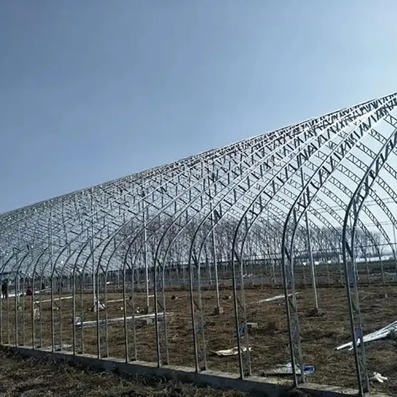 Geprefabriceerde zonnekas met dubbele filmboog