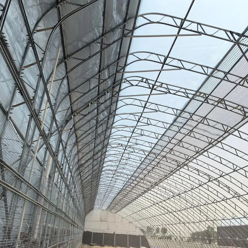Geprefabriceerde zonnekas met dubbele film en enkele helling